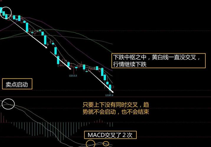 以交易为生2 强力指标_外汇交易简单指标策略_MACD移动平均线RSI应用