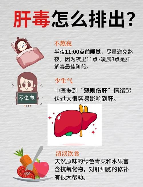 氮是哪个器官代谢_肾脏排毒功能_毒物排泄途径