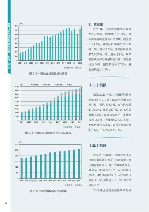 境内上市外资股有什么_改革开放民航业外资发展_中国民航业外资引进历史