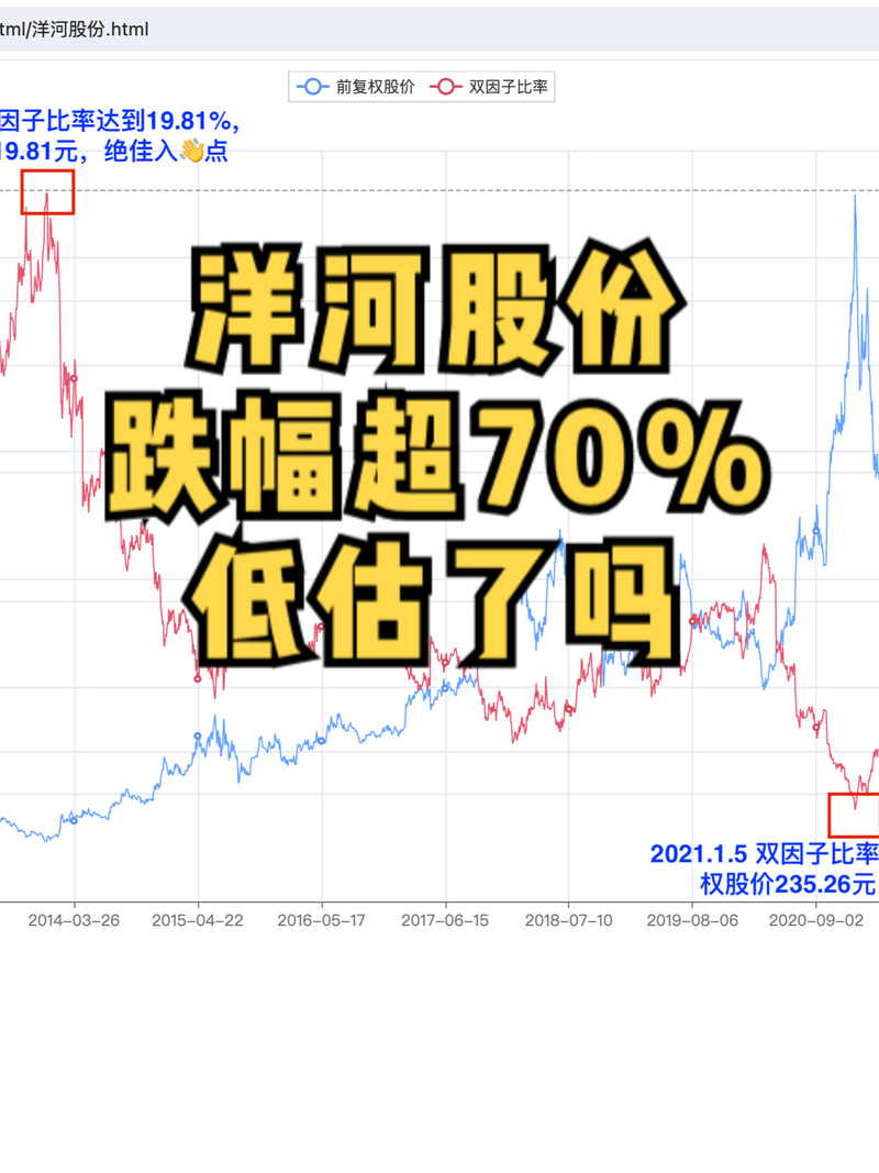 洋河白酒品牌战略问题_洋河股份股票分析_洋河白酒盈利减速分析