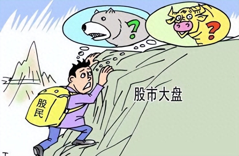 大盘股投资回报_大盘股风险承受能力_怎么区分股票是大盘股还是小盘股