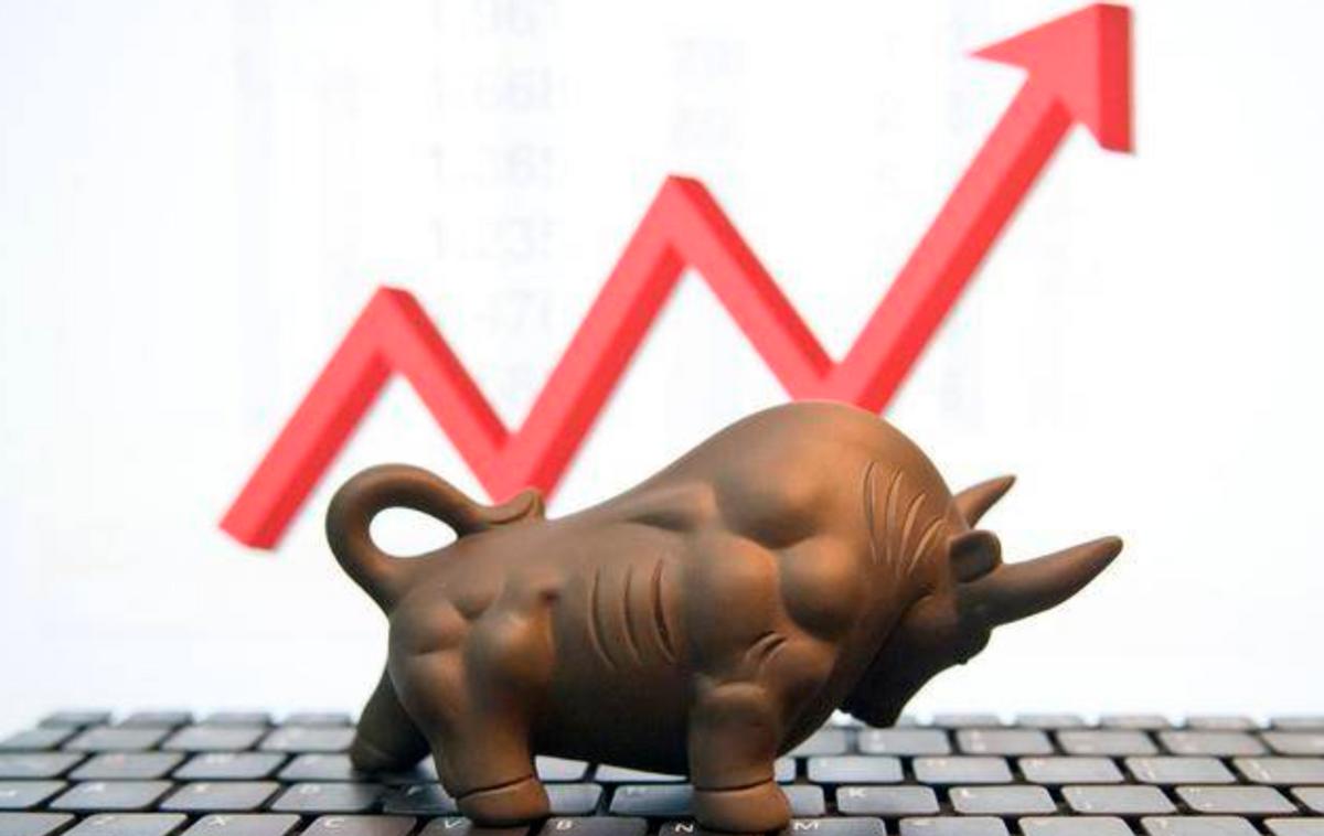 大盘股投资回报_大盘股风险承受能力_怎么区分股票是大盘股还是小盘股