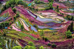 中金证卷通达信_安信证券同花顺手机炒股软件