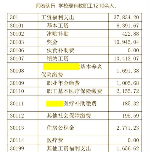 职业院校绩效工资改革_一般中职老师工资_高职院校教师工资福利