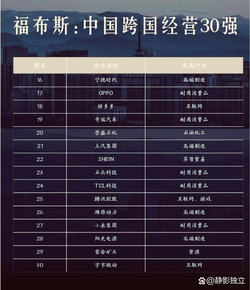 中国公司海外扩张_2015年十大中国公司盘点_ibm club