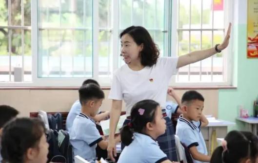 教师薪资差距_一般中职老师工资_小学大学教师工资对比