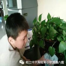 争做新时代好少年_小学生爱国教育_自信自强手抄报内容