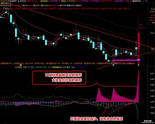 通达信观察资金流向_通达信资金流向指标公式_通达信资金流向