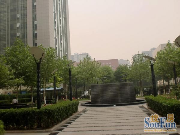 博雅国际中心实景图