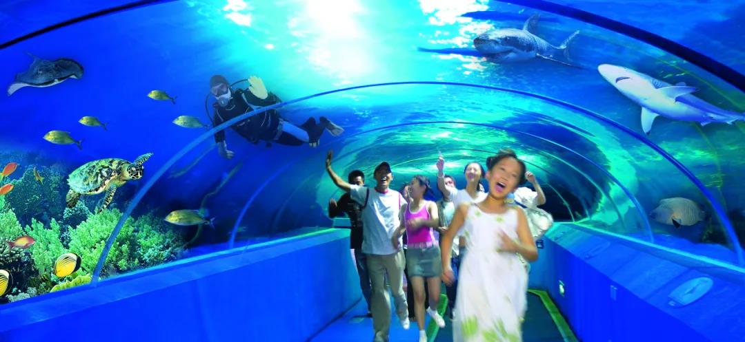 青岛旅游领军单位_青岛旅游风云榜_青岛港中旅国际旅行社