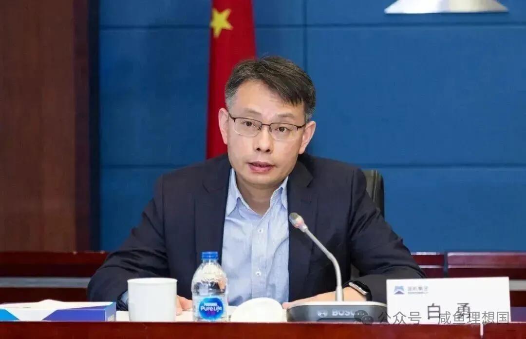 白勇 中国华能集团 跨界能源高管_华能集团2026年招聘