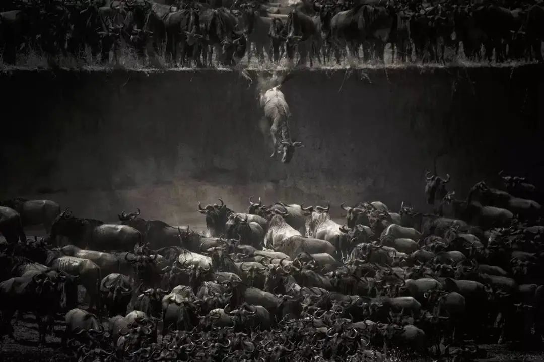 中信建投总经理被带走_中信建投股票开户时间_紫晶存储欺诈发行