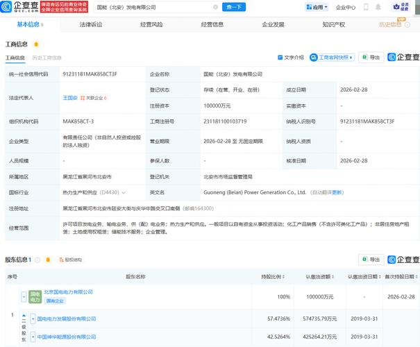 神华 国电 大唐_国家电力投资集团新能源装机_国家电力投资集团业务范围