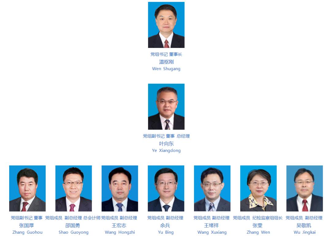 国家电力投资集团新能源装机_神华 国电 大唐_国家电力投资集团业务范围