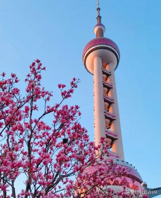 东方明珠塔门票预约_东方明珠塔参观攻略_东方明珠过山车